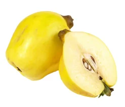 Dehner Bio Bio-Obstbäume|Birnen- & Apfelbäume > Bio Birnenquitte 'Cydora Robusta', Landlust Kollektion