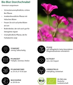Dehner Bio Steingartenstauden|Bio Stauden > Bio Blut-Storchschnabel