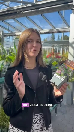 Dehner Bio Bio Cambridge Storchschnabel 'Karmina' Grün Online