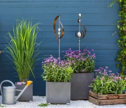 Dehner Bio Steingartenstauden|Bio Stauden - Bio Eisenkraut Lavendel
