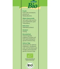 Dehner Bio Erdbeerpflanzen|Bio-Obststräucher - Bio Erdbeere, immertragend, 6er-Schale Rot