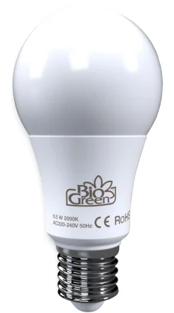Bio Green LED-Birne Flora-Booster 500 Rot Clearance