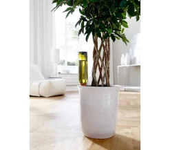 Bio Green Bewässerungssysteme & Pumpen > Tonkegel Hydro Wine