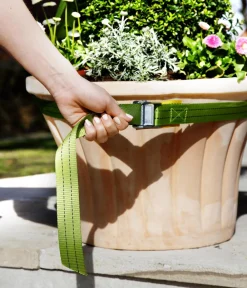 Bio Green Mehr Blumentopfzubehör - Tragegurt für Kübelpflanzen, , ca. L250/B3,5 cm Grün