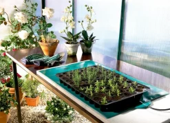 Bio Green Gewächshaus Zubehör - Wärmeplatte für Pflanzen Grün