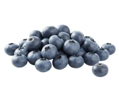 Dehner Bio Bio-Obststräucher - Bio Heidelbeere 'Reka' Dunkelblau