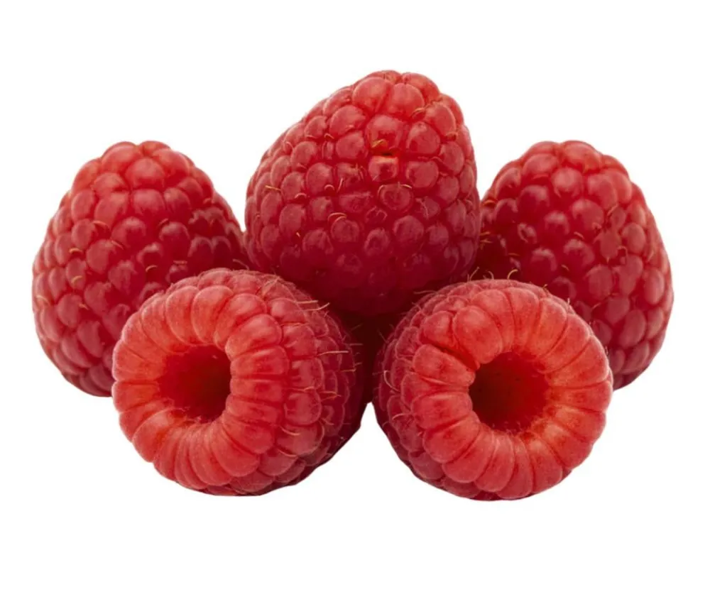 Dehner Bio Bio-Obststräucher - Bio Himbeere 'Autumn Belle'® Rot