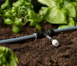 biohort Bewässerungs-System für Hochbeet, Pflanzbeet Belvedere und Gewächshaus Florentina New