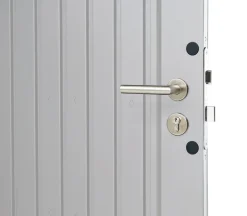 biohort Gerätehaus HighLine H2, ca. B275/H222/T195 cm Silber Hot