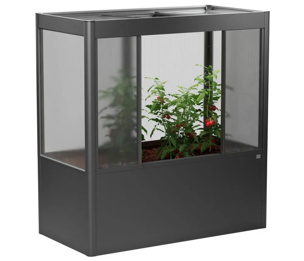biohort Gewächshaus Florentina 2 x 1 MAXI, ca. B201,6/H213,4/T104 cm Dunkelgrau Online