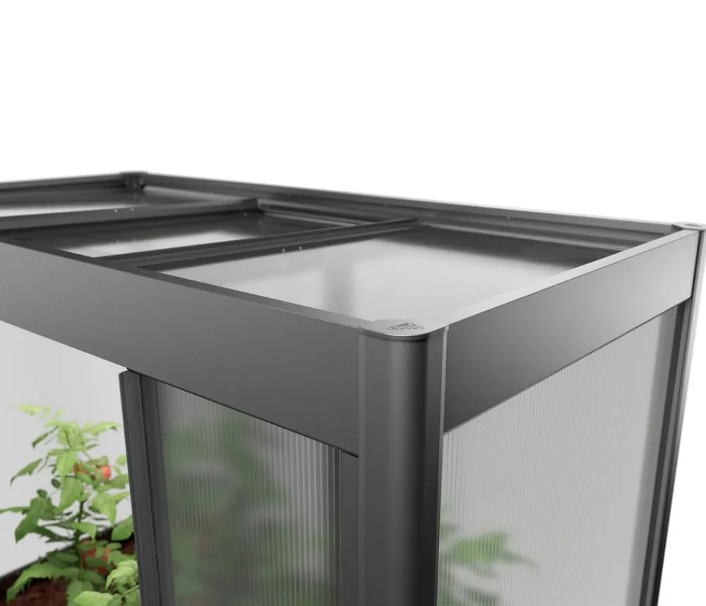 biohort Gewächshaus Florentina 2 x 1 MAXI, ca. B201,6/H213,4/T104 cm Dunkelgrau Online