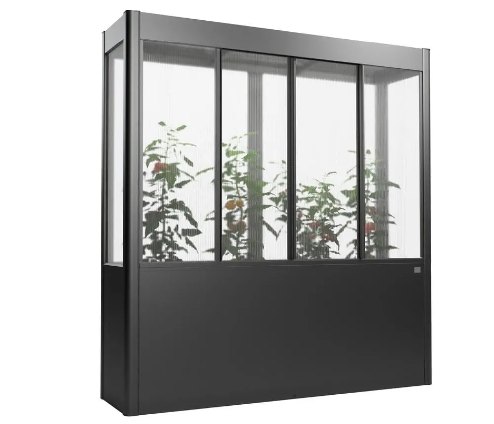 biohort Gewächshaus Florentina 2 x 0,5 MAXI, ca. B201,6/H213,4/T54,7 cm Dunkelgrau Online