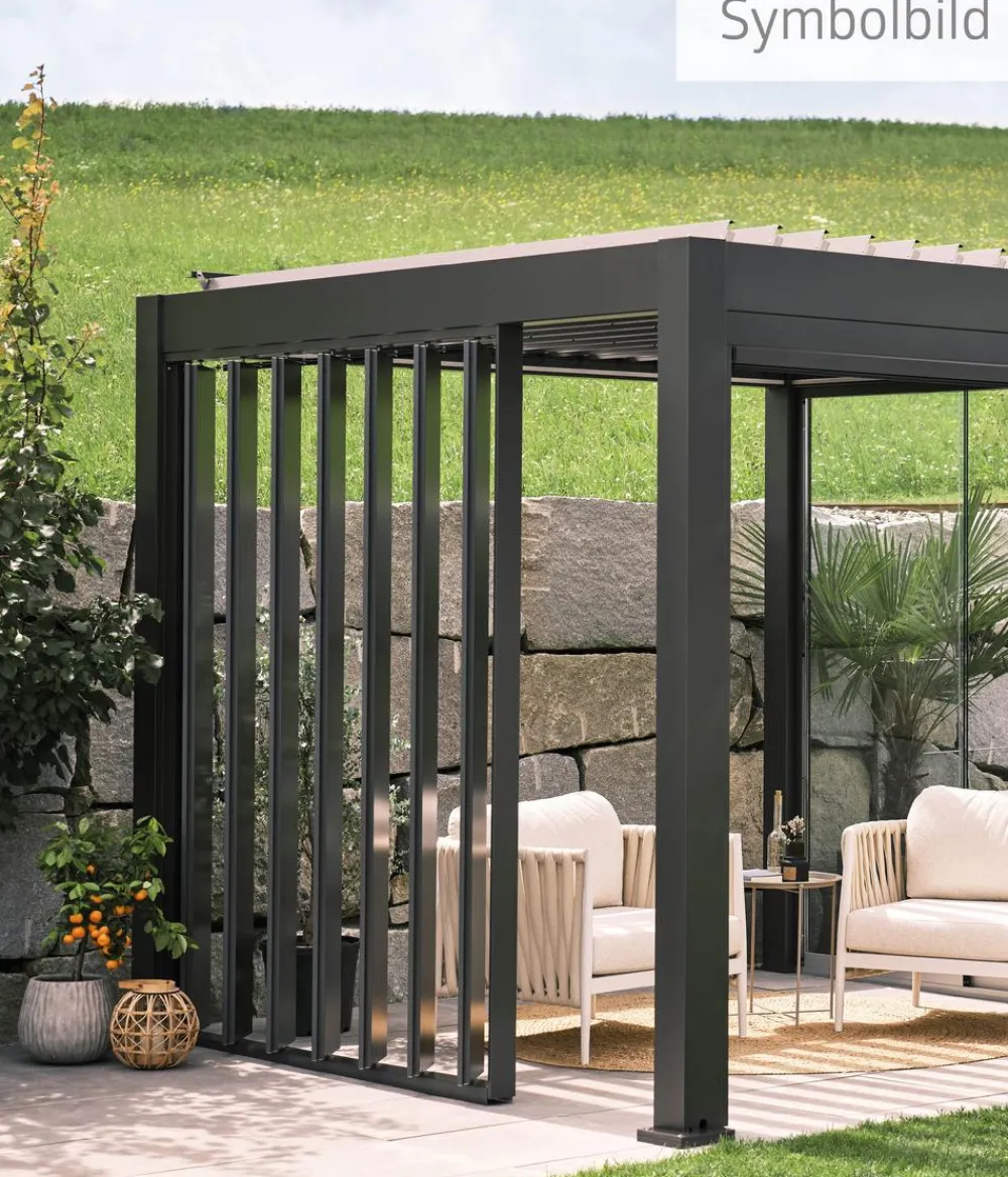 biohort Lamellenseitenwand für Pergolen 2,5 m, ca. B245,7/H235/T10,3 cm Dunkelgrau Hot