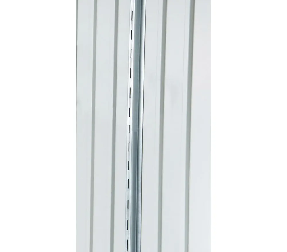 biohort Regalsteher Europa und Geräteschrank 2 Stk. Silber