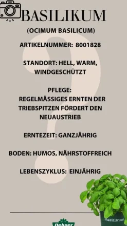 Bioland Bio-Kräuter > Basilikum