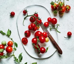 Bioland Cherrytomate Rot Clearance