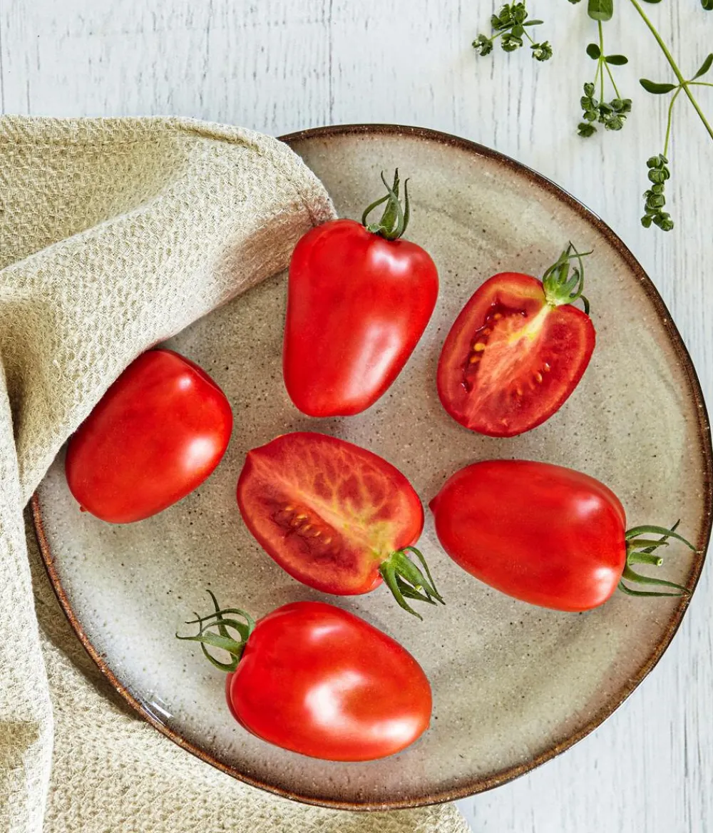 Bioland Eiertomate Rot Clearance