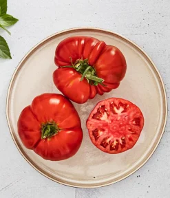 Bioland Auberginen- & Tomatenpflanzen|Bio-Gemüsepflanzen - Fleischtomate Rot