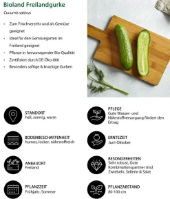 Bioland Freilandgurke Grün
