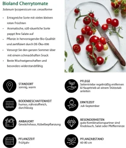 Bioland Gemüse-Sets|Bio-Gemüsepflanzen > Gemüseset Gemüsetraum, 6-teilig