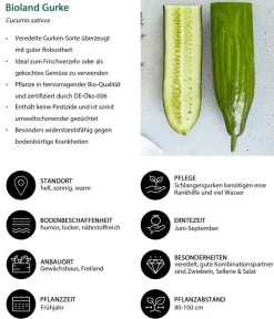 Bioland Gemüse-Sets|Bio-Gemüsepflanzen - Gemüseset Gesunde Mischung, 3-teilig