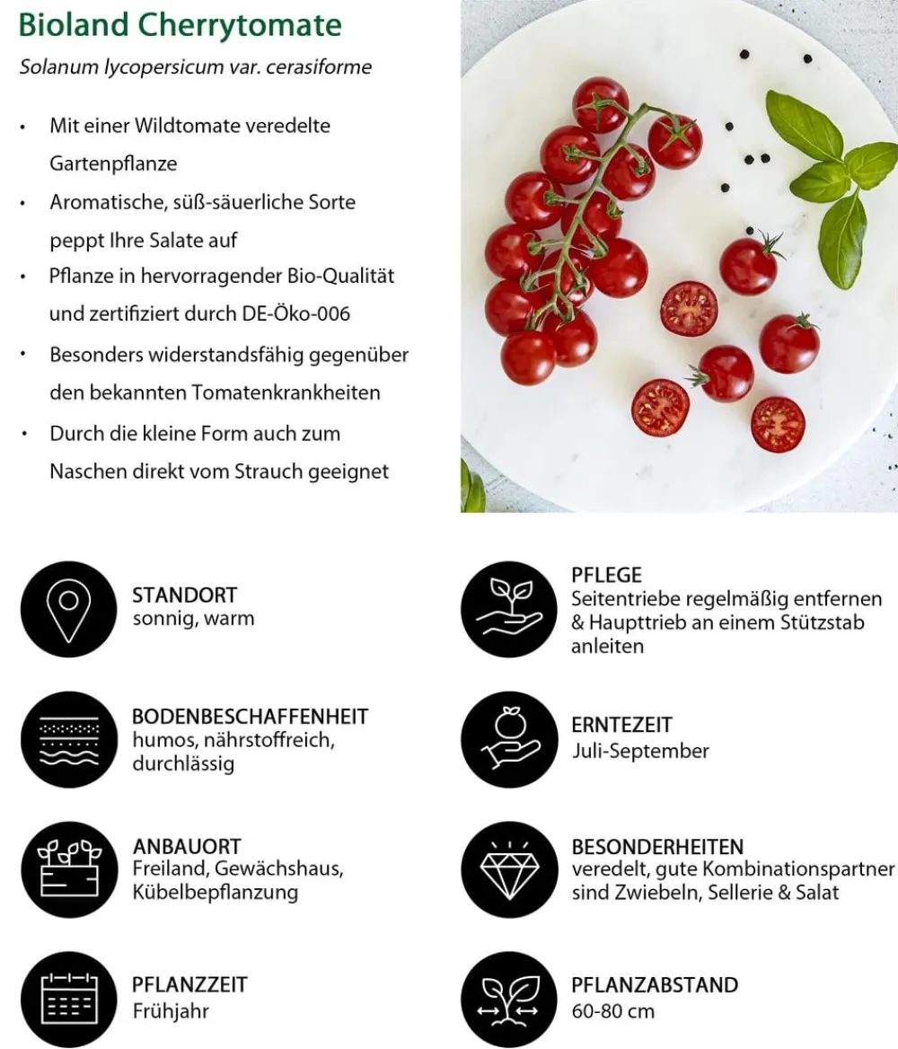 Bioland Gemüse-Sets|Bio-Gemüsepflanzen - Gemüseset Gesunde Mischung, 3-teilig