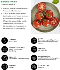 Bioland Gemüseset Tomatensalat, 3-teilig Rot Online