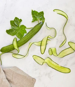 Bioland Zucchini- & Gurkenpflanzen|Bio-Gemüsepflanzen - Gurke, veredelt Grün