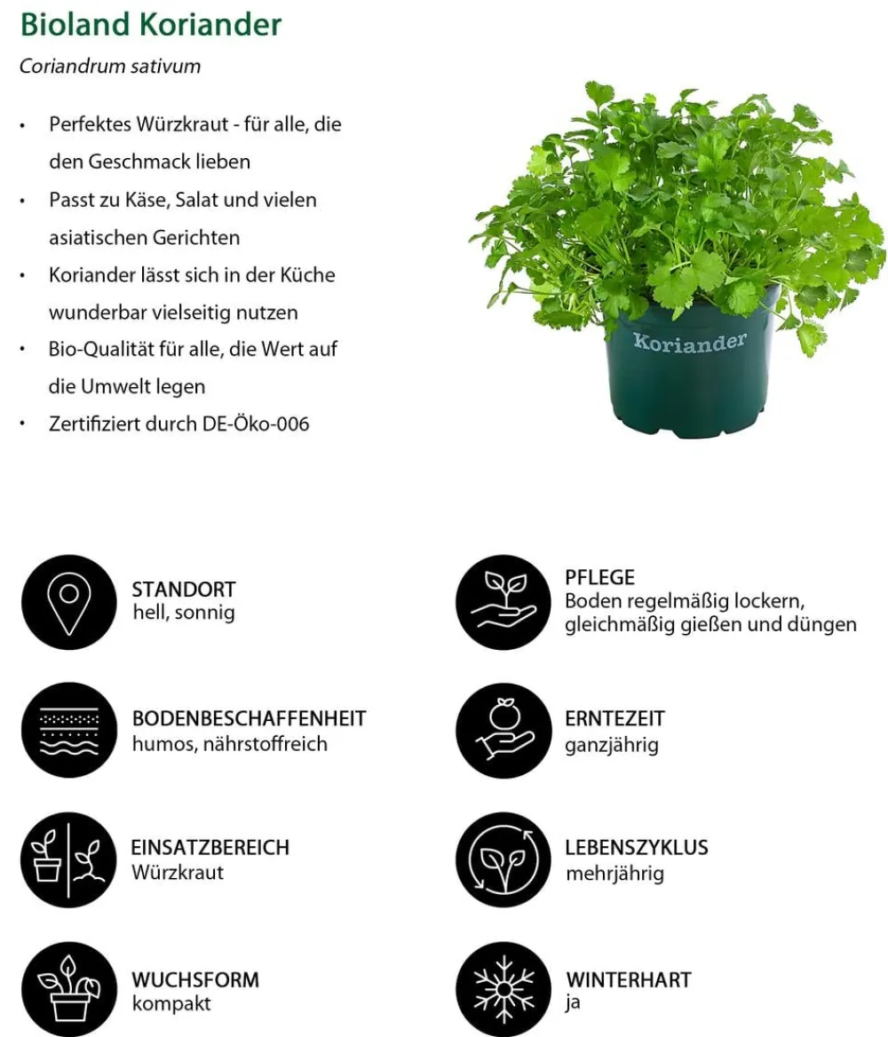 Bioland Koriander Grün Best