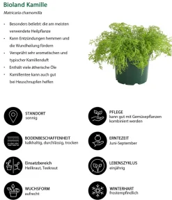 Bioland Nutzgarten-Set Gute Nachbarschaft, 6-teilig Discount