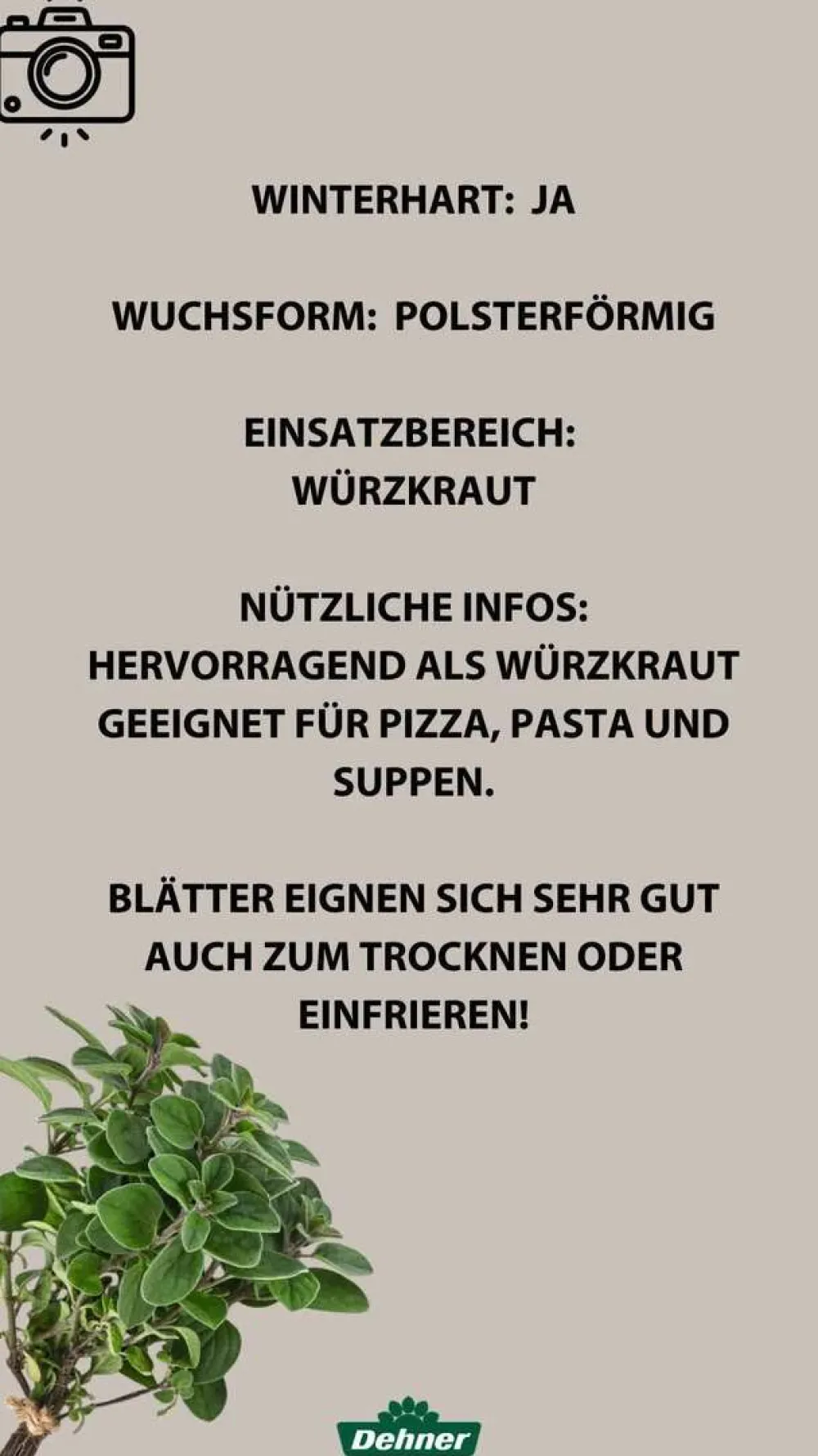 Bioland Bio-Kräuter|Küchenkräuter > Oregano