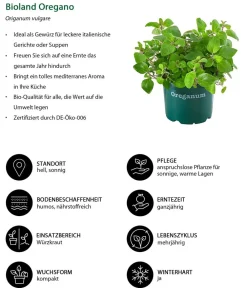 Bioland Bio-Kräuter|Küchenkräuter > Oregano