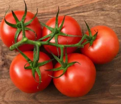 Bioland Auberginen- & Tomatenpflanzen|Bio-Gemüsepflanzen - Tomate, veredelt Rot