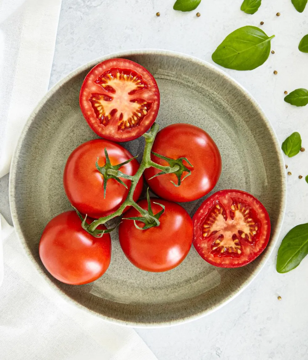 Bioland Auberginen- & Tomatenpflanzen|Bio-Gemüsepflanzen - Tomate, veredelt Rot