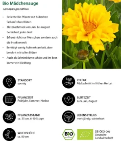 Dehner Bio Bio Mädchenauge Gelb Sale