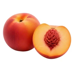 Dehner Bio Bio-Obstbäume|Aprikosen- & Pfirsichbäume > Bio Pfirsich 'Suncrest', Landlust Kollektion