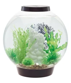 biOrb® Einsteiger Aquarien|Einzel Aquarien - Aquarium CLASSIC 30 LED Schwarz