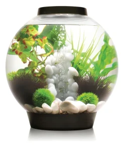 biOrb® Einsteiger Aquarien|Einzel Aquarien - Aquarium CLASSIC 30 LED Schwarz