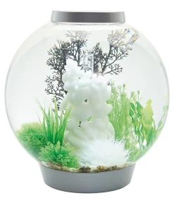 biOrb® Einzel Aquarien > Aquarium CLASSIC 60 LED