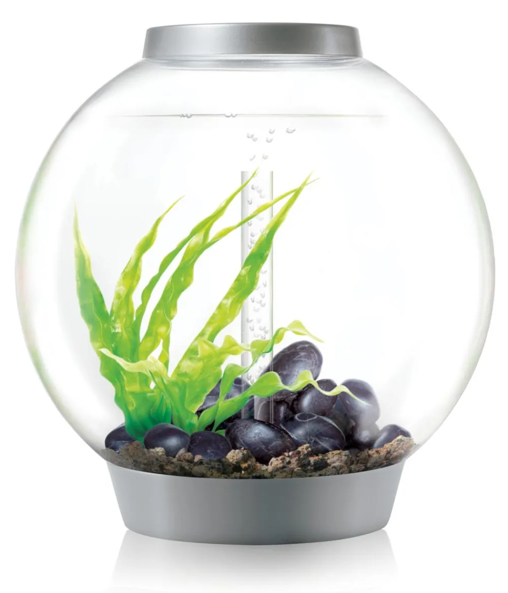 biOrb® Einzel Aquarien > Aquarium CLASSIC 60 LED