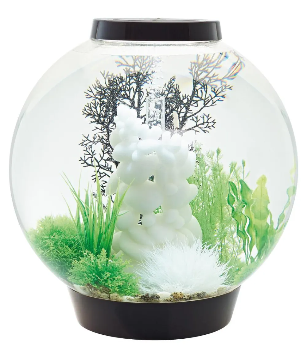 biOrb® Einzel Aquarien - Aquarium CLASSIC 60 LED Schwarz