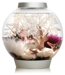 biOrb® Einsteiger Aquarien|Einzel Aquarien - Aquarium CLASSIC 15 LED Silber