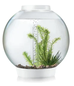 biOrb® Aquarium CLASSIC 30 LED Weiß Clearance
