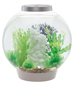 biOrb® Einsteiger Aquarien|Einzel Aquarien - Aquarium CLASSIC 30 LED Silber