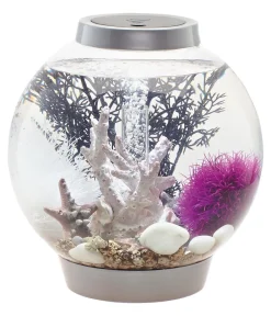 biOrb® Einsteiger Aquarien|Einzel Aquarien > Aquarium CLASSIC 15 MCR