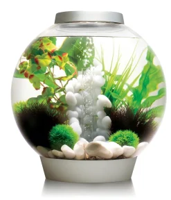biOrb® Einsteiger Aquarien|Einzel Aquarien > Aquarium Classic 30 MCR