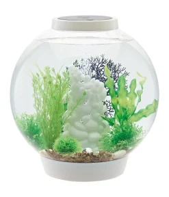 biOrb® Einsteiger Aquarien|Einzel Aquarien - Aquarium Classic 30 MCR Weiß