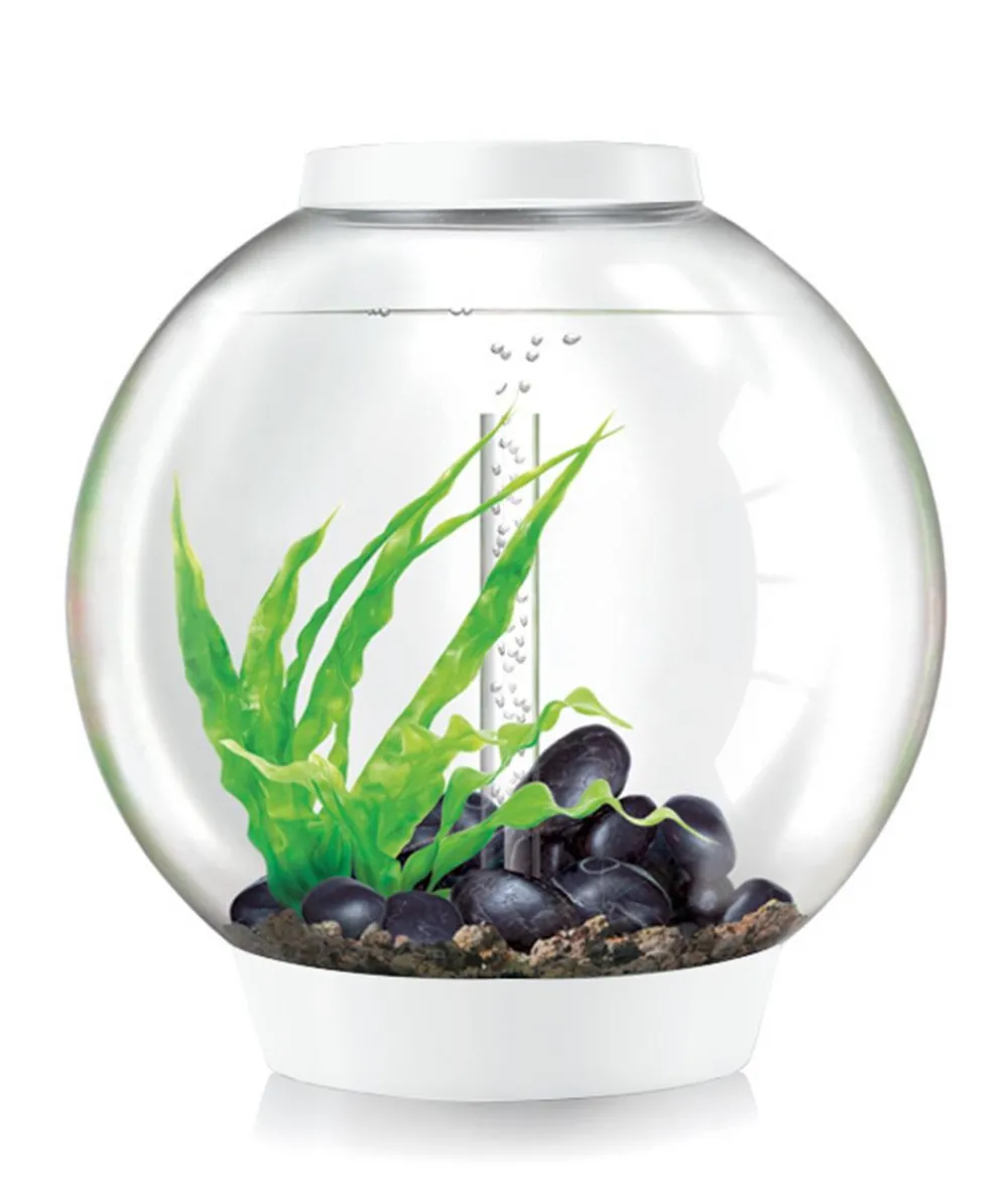 biOrb® Einzel Aquarien - Aquarium CLASSIC 60 MCR Weiß