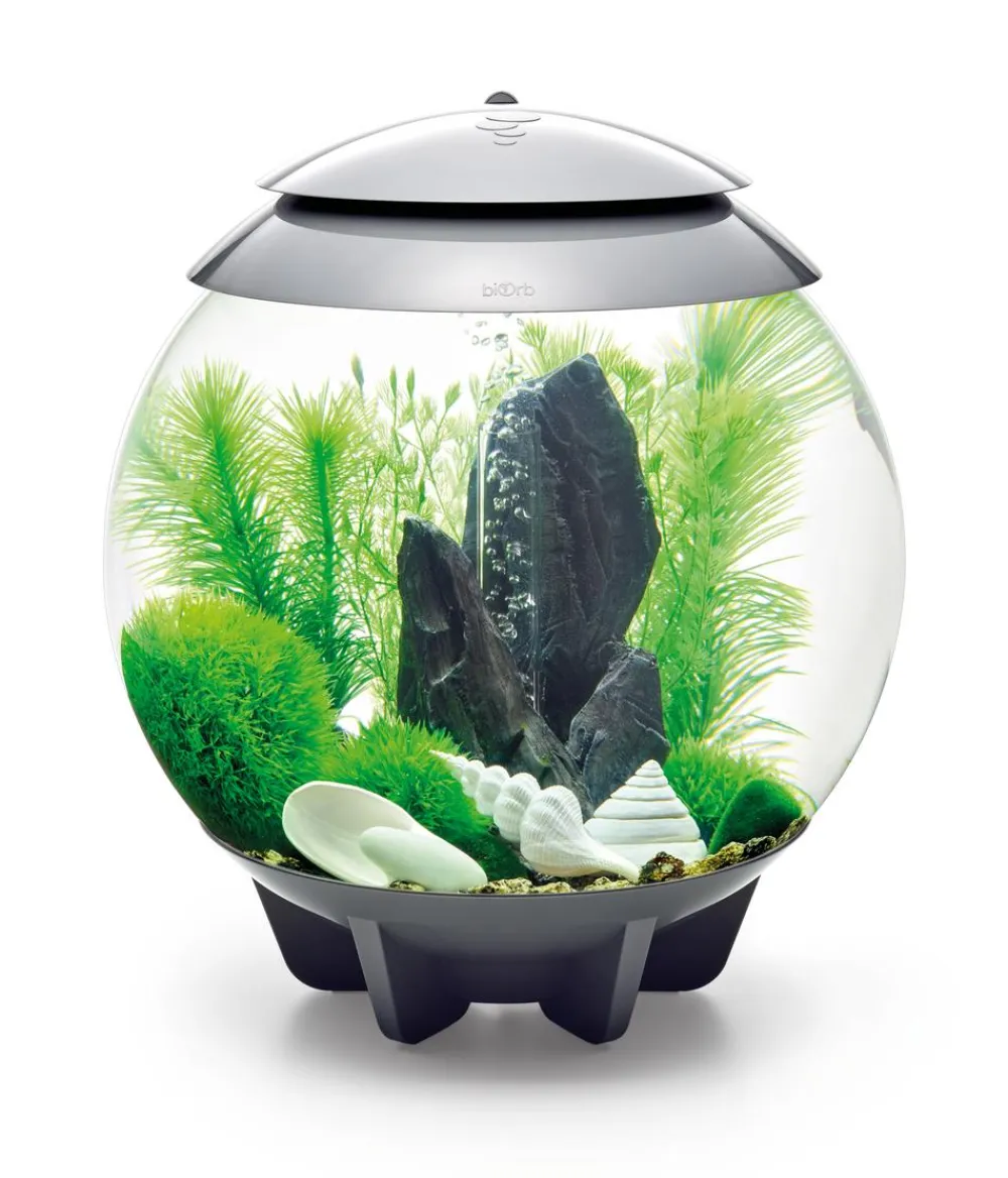 biOrb® Aquariumdeko Decor Set 30 l Stone Garden Best