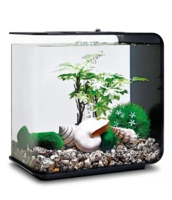 biOrb® Aquariumdeko Decor Set 15 l Sommer Sale